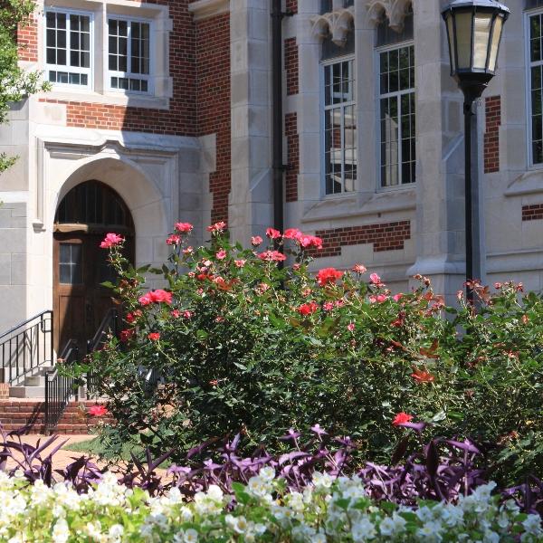 Back walkway of Presser Hall with flower beds